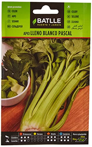 Semillas Batlle Apio Lleno Blanco PASCAL