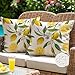 ViaElayu Outdoor Kissenbezug 40x40 cm Gelb Zitronen Kissenhüllen Outdoor Kissen Wetterfest Sofakissen Dekokissen Gartenkissen Couchkissen Frühling Sommer Deko für Wohnzimmer Bank Terrasse 2er Set