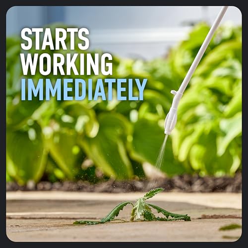 Roundup Dual Action 365 Weed & Grass Killer Plus 12 Month Preventer Refill - image 4