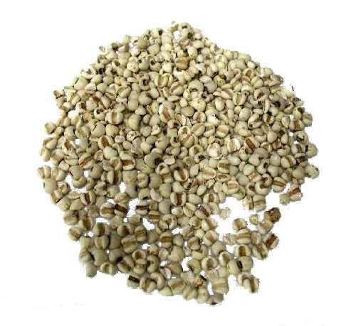 n[u/ngM 50gy͂ƂނEn[ueB[EhCn[uzy|Xgł͂zy܂z