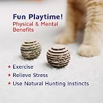 Cat Ball Toys by Americat – Made in USA – Safe Cardboard Cat Toys – for Interactive and Independent Play, Exercise & Stress Relief for All Breeds & Ages (Variety Pack of 3 Balls) - Image 6