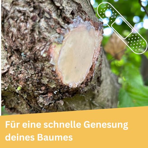 Briliantwerk® 800g Baumwachs Wundverschluss I Wundverschluss für Bäume für eine schnelle Heilung I Unser Baumharz bildet eine robuste, wetterfeste Schutzschicht I Geeignet für alle Pflanzen