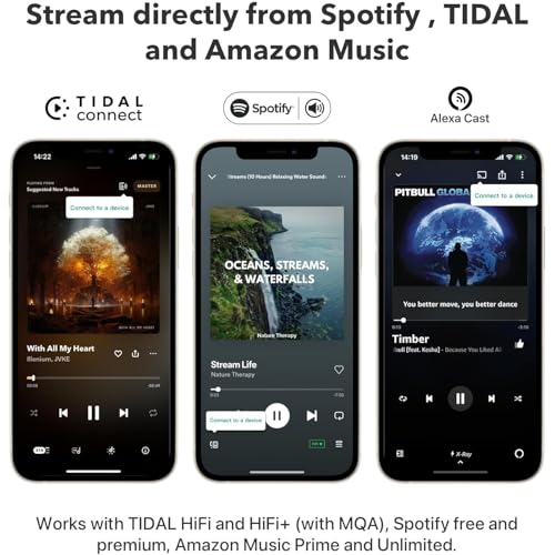 Image of WiiM Pro Plus AirPlay 2 & Google Cast Audio Streamer with Premium AKM DAC, Voice Remote, Alexa /Siri /Google Compatible, Hi-Res Multiroom Music Streaming from Spotify, Tidal & Amazon Music | Dark Gray