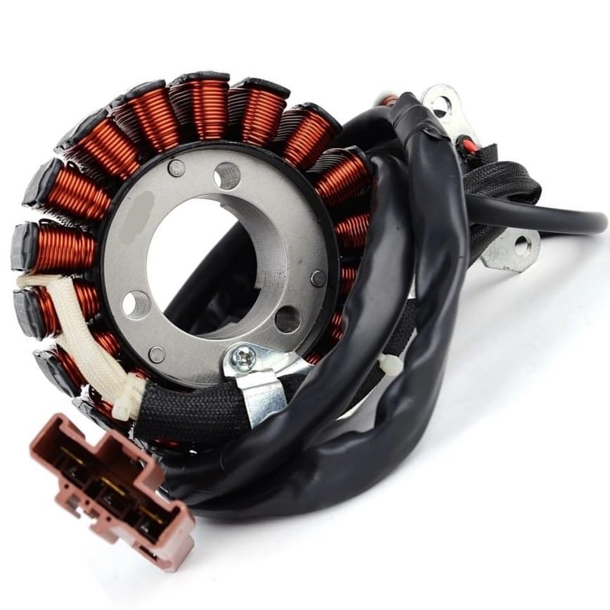 Bobine de stator pour SR125 MAX125 SR300 MAX300 58070R alternateur de rechange