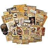 Vilikya 43pcs Dark Aesthetic Ephemera Junk Journal Supplies, Gothic Scrapbook Paper for Macabre Human Anatomy, Vintage Doll Skull Decoupage Paper for Scrapbooking Collage, Room Decor Wall Collage Kit