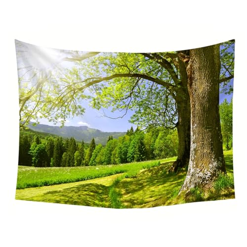 Tapiz de pared grande de 150x150 cm con árboles y sol para transformar espacios vacíos 5