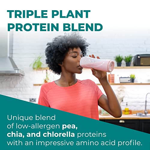 Reignite Wellness By Jj Virgin Chocolate Plant Based All In 1 Shake - Chia, Chlorella, Pea Protein Powder - Contains Essential Vitamins & Probiotic Blend To Support Immunity + Gut Health (15 Servings) #TOP2