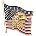 Patriotic Gold Tone Enameled Freedom Bald Eagle United States Flag Lapel Pin, 7/8 Inch