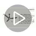 Image of Havells 1200mm Inox Underlight BLDC Ceiling Fan | Remote Controlled, Smart Fan, IoT Enabled, Alexa & Google Home Compatible | 5 Star Rated, Upto 60% Energy Saving, 2 Year Warranty | (Mettalic Gray)