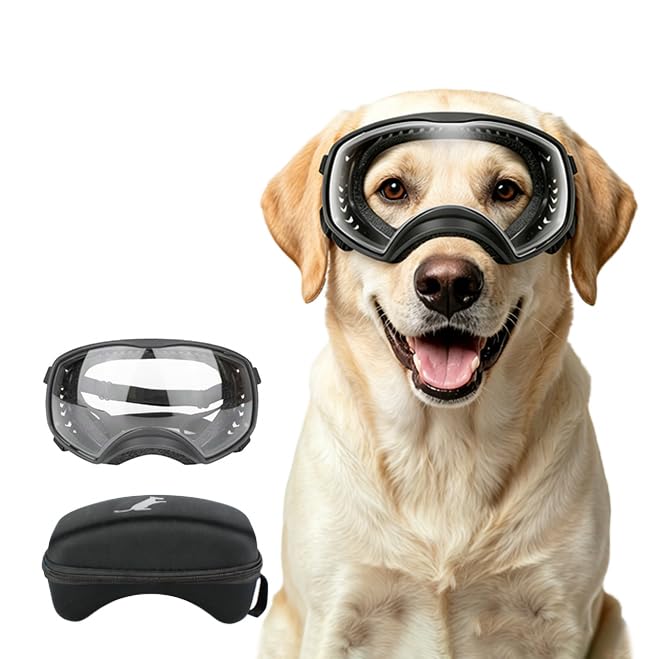 Enjoying Clear Dog Goggles for Large Dogs