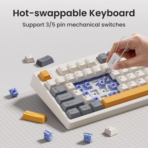 Image of Kisnt KN104 Wireless Mechanical Keyboard, 100% Full Size with Knob, Bluetooth /2.4GHz /USB-C, Custom RGB Backlit, Hot-Swappable Linear Switch, Creamy Sound for Gaming /Typing (Retro Beige)