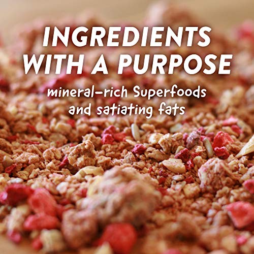 Picky Bars Performance Granola, PB&J All Day, 10.6oz bag (10 servings)