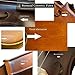 Bunnel G1 Violin Clearance Outfit - Carrying Case and Accessories Included - Solid Maple Wood and Ebony Fittings By Kennedy Violins (1/2)