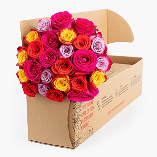 BloomsyBox: Multi Colored Roses - Two Dozen Rainbow Roses, 25 Long Stems, Long Lasting & Hand-Tied, Farm Fresh Flowers Bouquet, Luxury Floral Arrangement, Vase Not Included - Thumbnail 2