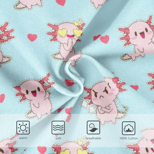 Boys' Exclusive Briefs Toddler Underwear 95% Combed Cotton Boxerbriefs 2T Piggy and Heart Pattern 23