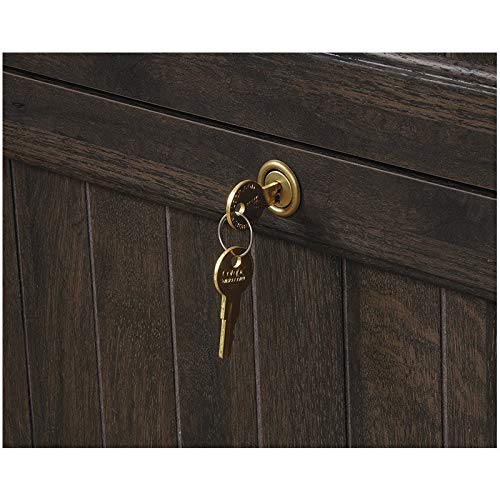 Levan Home 2 Drawer Lateral File Cabinet In Coffee Oak #TOP4