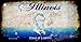 SMART BLONDE Illinois Rusty Blank Key Chain KC-8130