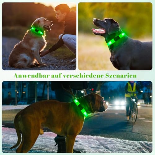 Leuchthalsband Hund, Hundehalsband Leuchtend Aufladbar mit Batteriekontrollleuchte, Wasserdichtes LED Hundegeschirr Leuchtend, Einstellbare Größe 3 Blinkende Lichter