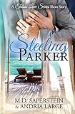 Steeling Parker (a Taboo Love Series)