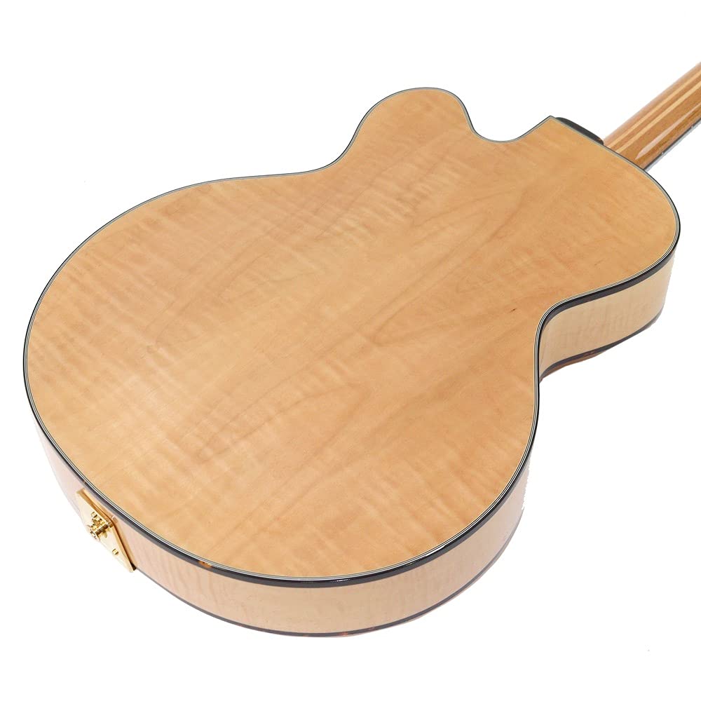 Fujigen FGN フジゲン　MFA-FP/JN/14 MFA-FP/JN : Masterfield MFA - フルアコ |MFA-FP/JN