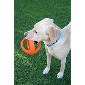 Happy Pet – Cultivator Football – 18 cm – Dog Toy – 1 Piece