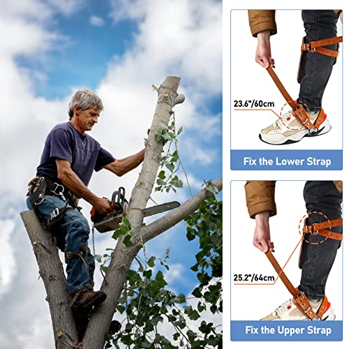 Wmlbk Tree Climbing Spikes Alloy Steel Pole Climbing Spurs Tool Adjustable 2 Gears Climbing Set Cow Leather Straps With Non-Slip Pedal For Climbers, Logging, Hunting, Observation, Fruit Picking #TOP4