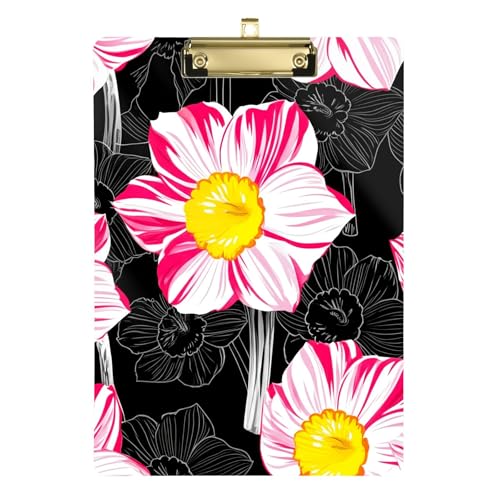 sN̐̉ ubN Nbv{[h w 12C` x 9C` Nbv{[h  `ANNbv{[h p[\iCY wZ pi S[h