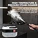 Steam Cleaner, 2500W Handheld High Pressure Steam Cleaner with 3 Brush Heads, Portable Steam Cleaner for Home, Furniture, Kitchen, Bathroom and Car Detailing