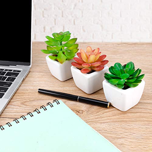 Faux Succulents In Pots Fake Succulents Small Artificial Succulents Potted For Home Office Desk Farmhouse Greenery Decor, 12 Pack #TOP4