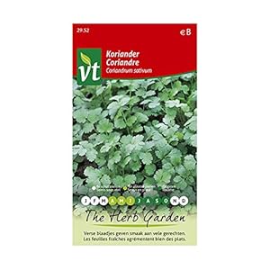 Koriander – kruidenzaad