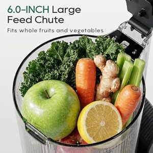 Canoly 3-in-1 Cold Press Juicer C16, Makes Juice & Sorbet & Nut Milk — photo 3 of 6