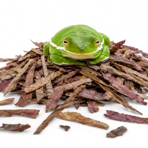 Image of SunGrow Shredded Catappa Leaf Litter for Frogs, Increases Humidity, Ideal Hunting Ground for Fierce Frogs, Makes Terrarium Feel Like Home, Easy Maintenance, A Must for Dart Tadpoles, 1.8 oz