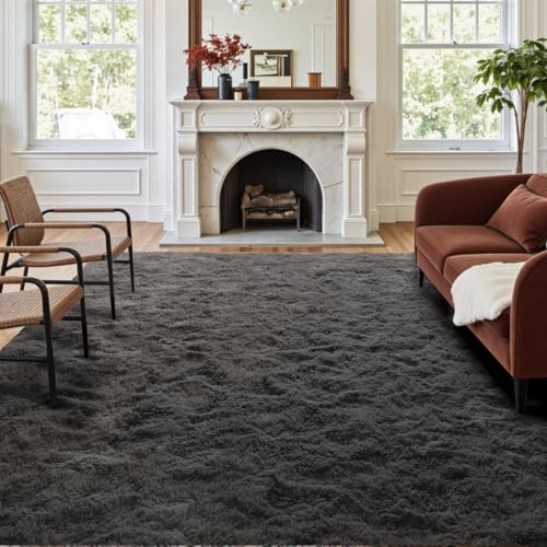5x7 Ft Shag Area Rug for Bedroom, Ultra Soft Fluffy Furry Rugs for Living Room Indoor Floor, Aesthetic Carpet for Kids Home Decor (Grey)