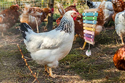 Vehomy Huhn-Xylophon Spielzeug für Hühner, Suspensibles Holz Xylophon Spielzeug mit 8 Metallschlüsseln, Hühnerstall mit… – Bild 5