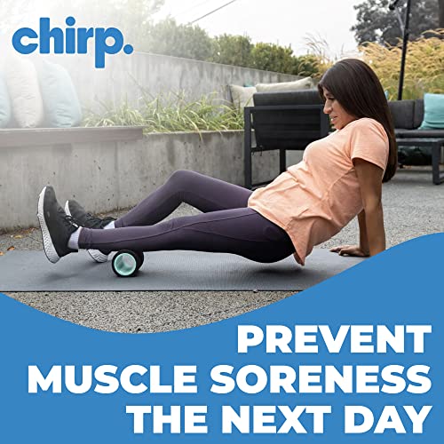 Chirp Wheel Foam Roller – Targeted Back & Neck Relief, Lumbar Spine Stretcher, Spinal Decompression Back Stretcher, Massage Roller with Density Foam for Physical Therapy, Supports 500lbs, 4-Inch Mint - Image 4