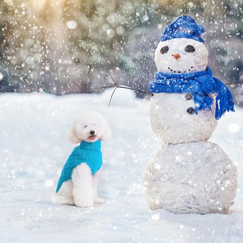 Image of BINGPET Dog Sweater for Small Dogs, Turtleneck Knitted Clothes