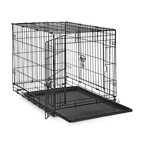 Petco Brand - Everyyay Essentials 2-Door Folding Dog Crate, 30.5" L X 19.2" W X 21.5" H, Medium #TOP5