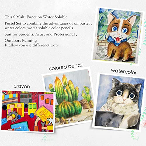 S Multi Function Water Soluble Pastel Set, 25Colors (25 Colors) Non Toxic,With Pastels,Palette, Pencil Sharpen, Refillable Watercolor Brush,For Students, Artist And Professional, Outdoors Painting #TOP2