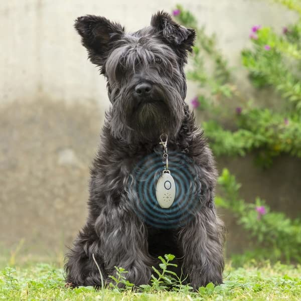 Repelente de pulgas ultrasónico portátil, recargable por USB, no tóxico, repelente electrónico de mosquitos y mosquitos, repelente de pulgas para perros, gatos, viajes al aire libre, 4PS