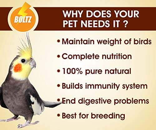 Boltz-Adult-Bird-Food-for-Cockatiel-Lovebirds-Mix-Seeds-Canary-Seed-Sunflower-seed-12-KG