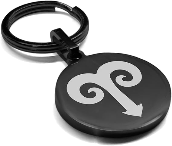 Stainless Steel Astrology SIgns Round Medallion Keychain Circle Ring