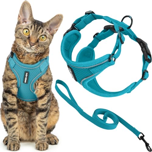 Image of Voyager Escape-Proof Step-in Lock Cat Harness & 5ft Neoprene-Handle Leash Set All-Weather Mesh with Reflective Stitching for Small to Large Cats by Best Pet Supplies, Turquoise (327), XS