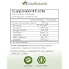 DigestPlus Digestive Enzymes - Plant-Based Enzymes for Digestion Support, Helps Reduce Bloating & Gas - Pure Enzyme Formula for Nutrient Absorption - Digestion Supplement, 180 Capsules