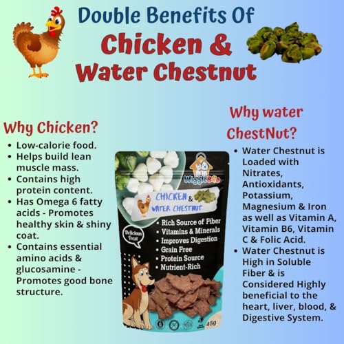 Image of Chicken & Water Chestnut Dog Treat | Protein Rich | Fiber Rich | Crunchy Healthy Snacks | 45g