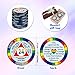 Siifert 12 Pcs Aa Chips and Medallions Sobriety Recovery Monthly Chips 24hr Newcomer 1-11 Months Aa Tokens Alcoholics Anonymous Medallion (Rainbow)