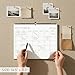 Beautiful 2026 Wall Calendar - Runs from January 2026 until July 2027 - Large 14.5