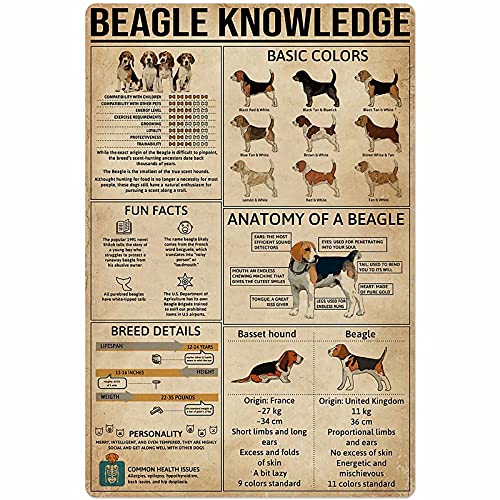 Beagle Knowledge Metal Tin Sign Dog Anatomy Chart Aluminum Poster Farm School Pet Shop Home Kitchen Club Garage Wall Decoration Vintage Plaque 12x16 Inches