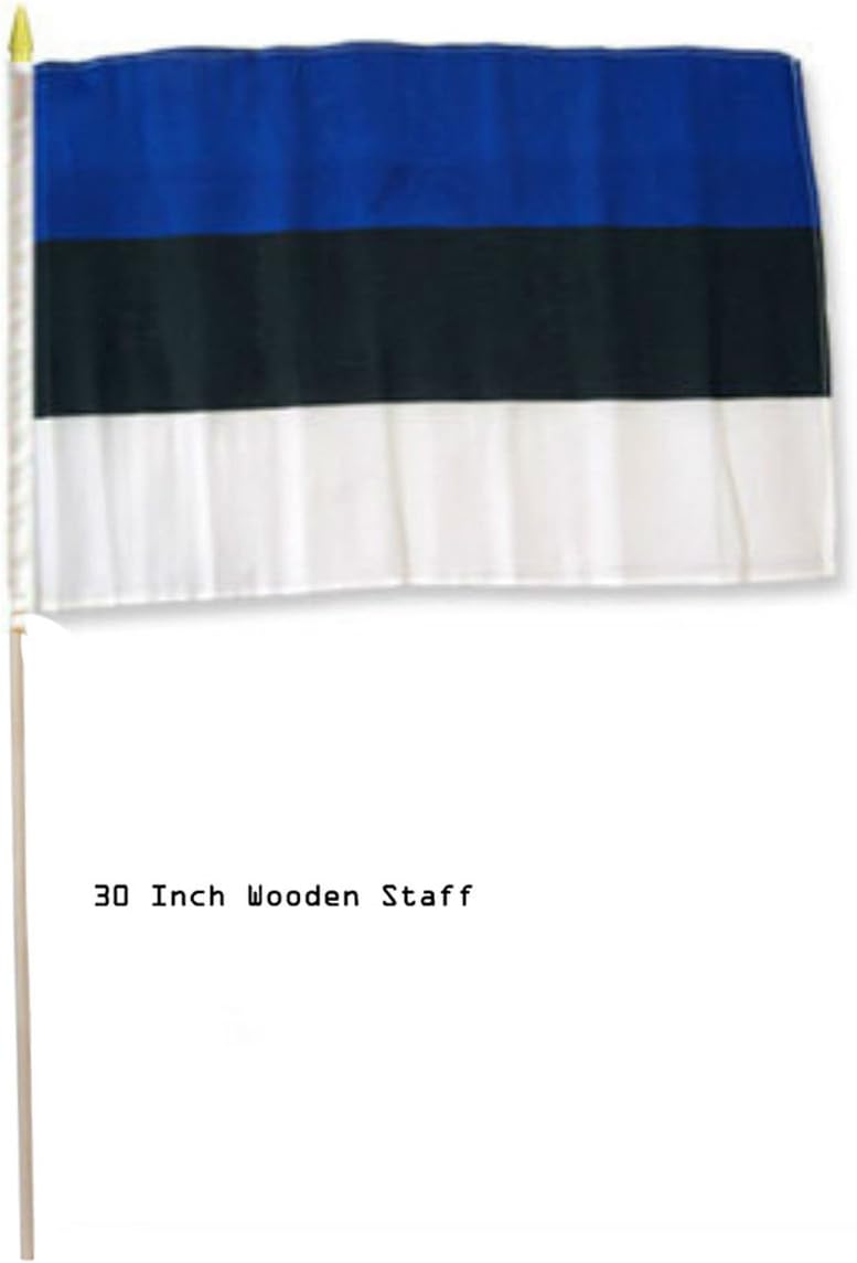 AES 12x18 12"x18" Estonia Country Stick Flag 30" Wooden Staff