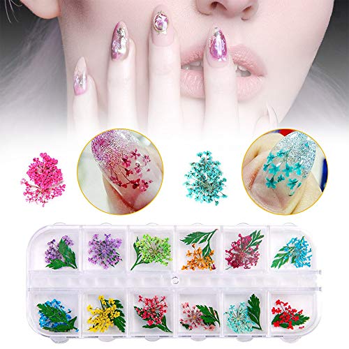Gedroogde bloemen voor nagels - 2 dozen (36 stuks) Gedroogde bloemen voor hars ambachten, 24 bloemen en 12 bladeren 3d… - Afbeelding 5