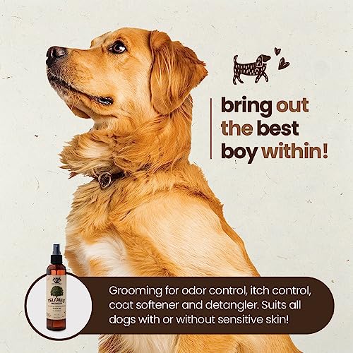 Gerrard Larriett  Aromatherapy Freshening and Shining Dog Perfume Calming Dog Cologne with Oat Pet Supplies for Skin Care and Odor Control 8 Fl Oz relaxing Wildwoods  Cucciolini Doodles Gerrard larriett  aromatherapy freshening and shining dog perfume calming dog cologne with oat pet supplies for skin care and odor control 8 fl oz relaxing wildwoods   cucciolini doodles